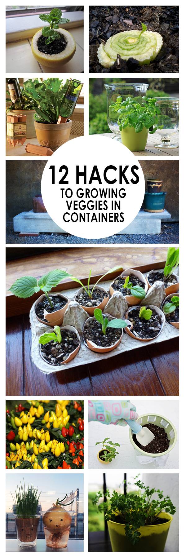 Creative Garden Hacks