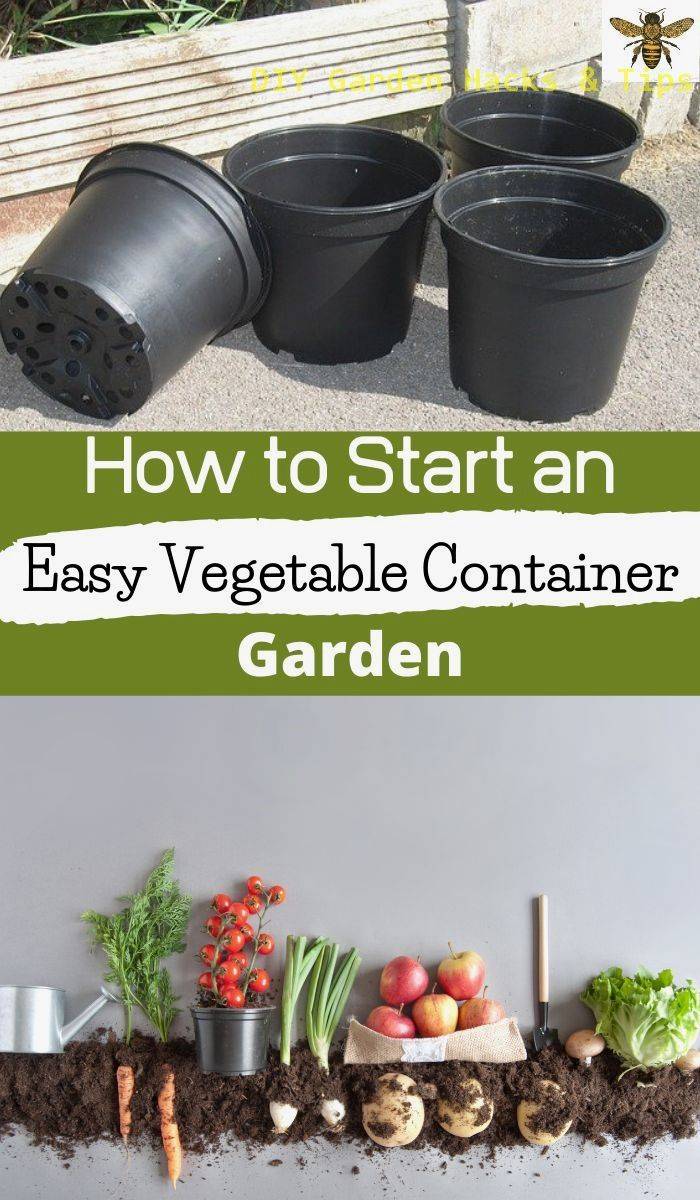 Creative Garden Hacks