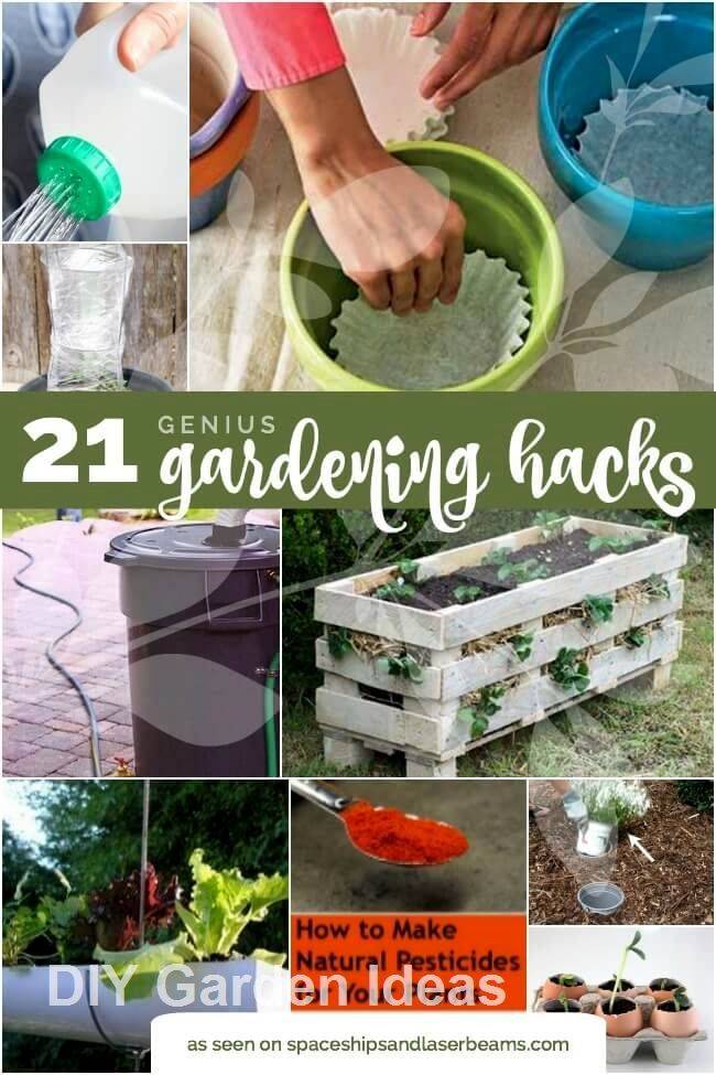 Creative Garden Hacks
