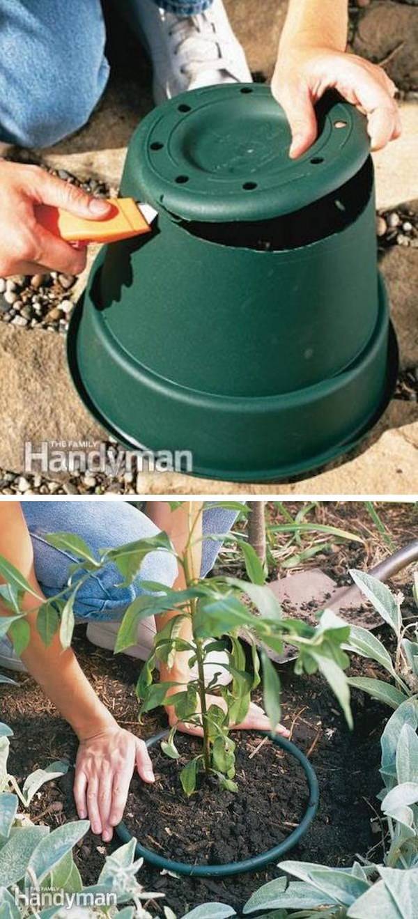 Creative Garden Hacks