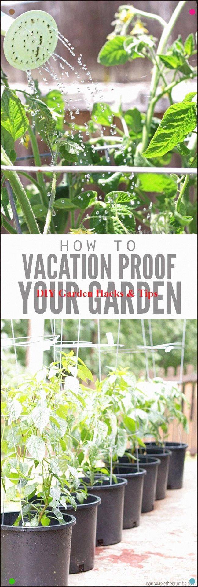Container Garden Hack Container Gardening