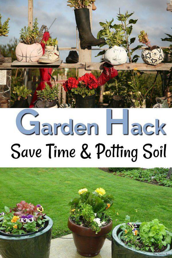 Containergardeningforkids Garden