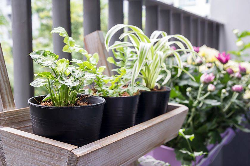 New Creative Garden Hacks And Tips Backyard Diy Diy Container