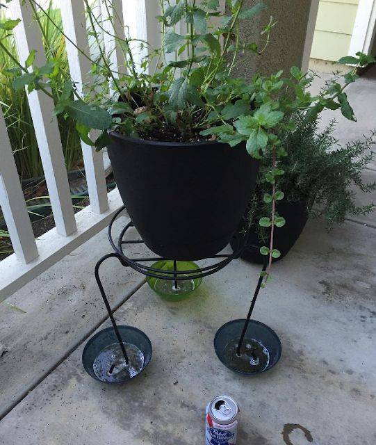 New Creative Garden Hacks And Tips Diy Container Gardening