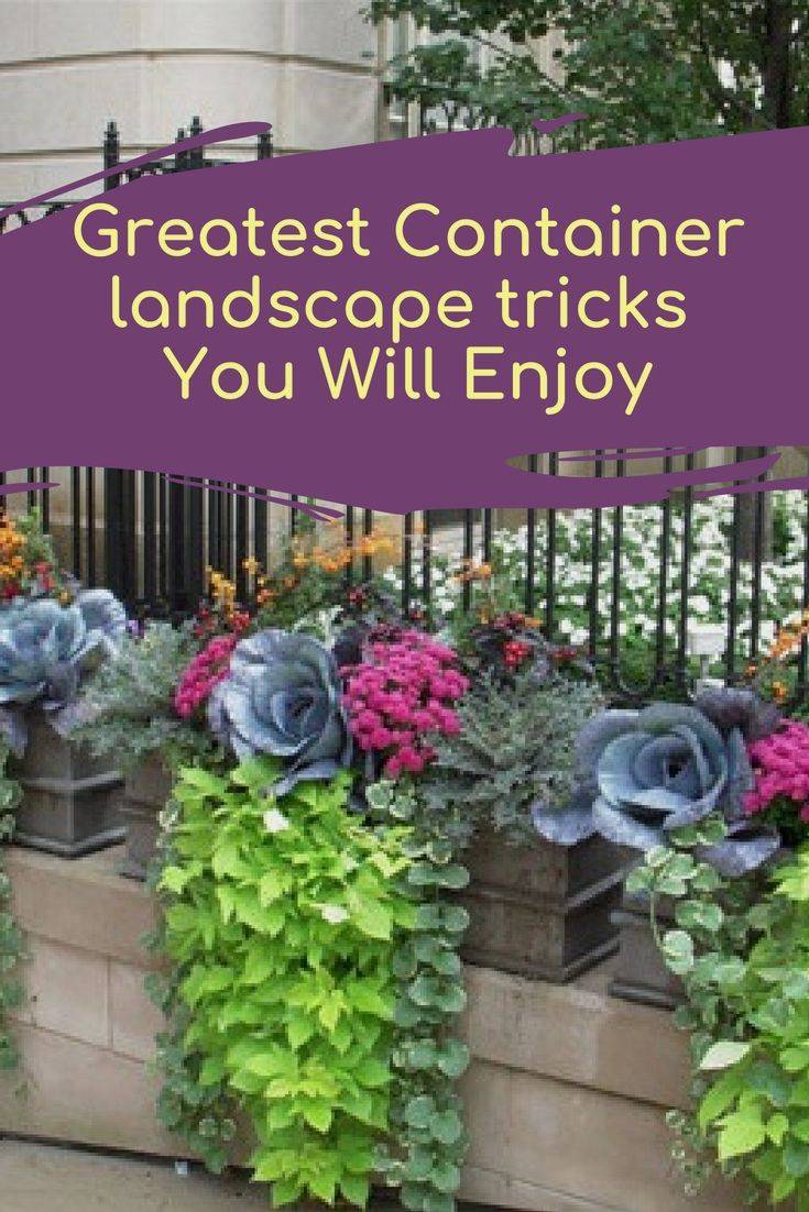 Wacky Gardening Hacks