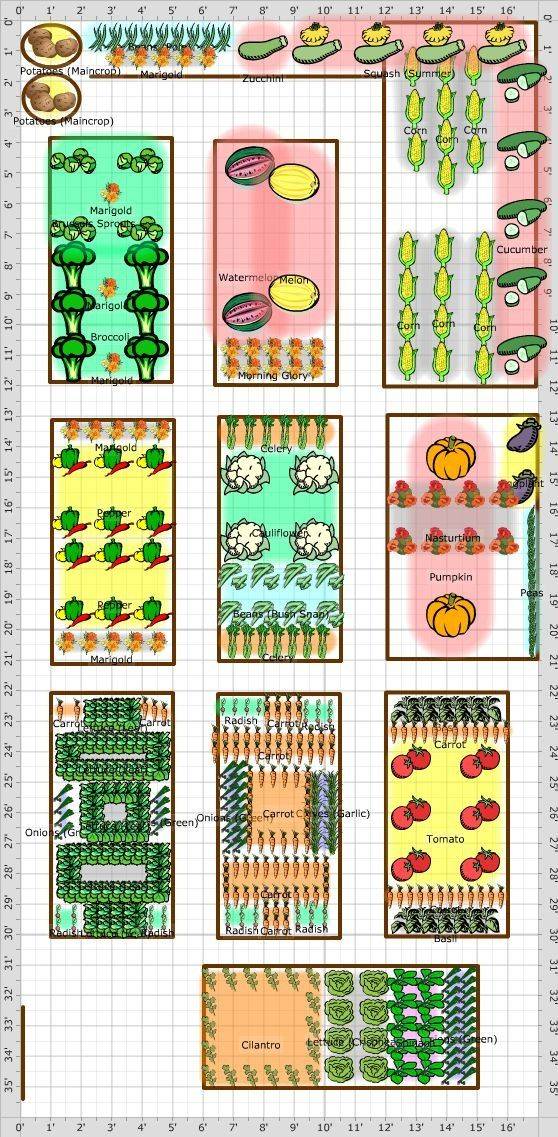 Ideas Garden Design Vegetable Companion Planting Planting
