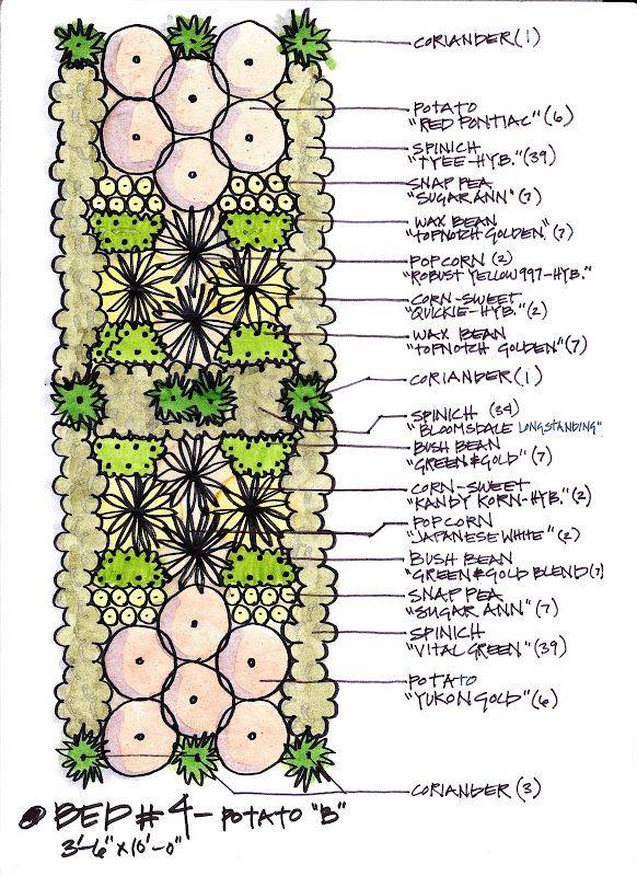 Affordable Backyard Vegetable Garden Design Ideas Decoradeas