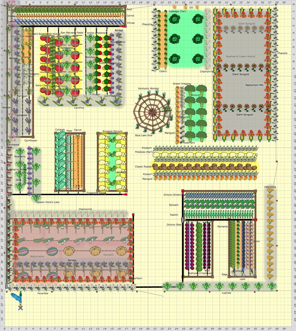 Companion Garden Layout Potager Layout Drawing Web Thyme Flower