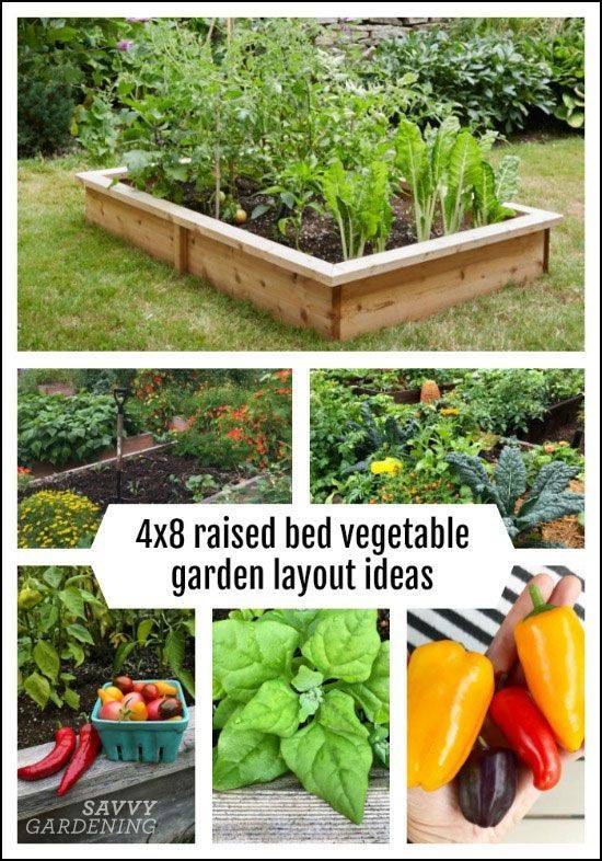 Companion Planting X Vegetable Garden Layout Garden Layout