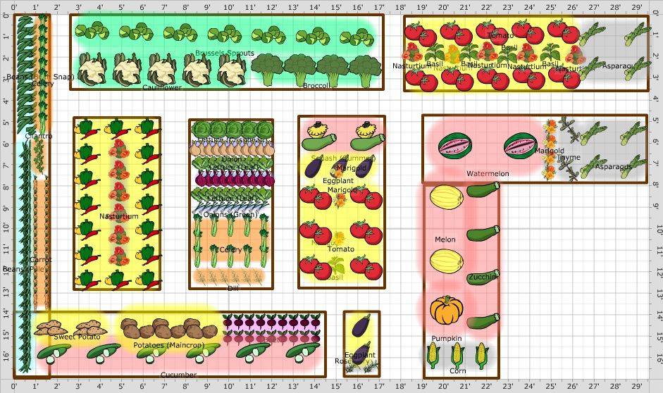 A Companion Planting Garden