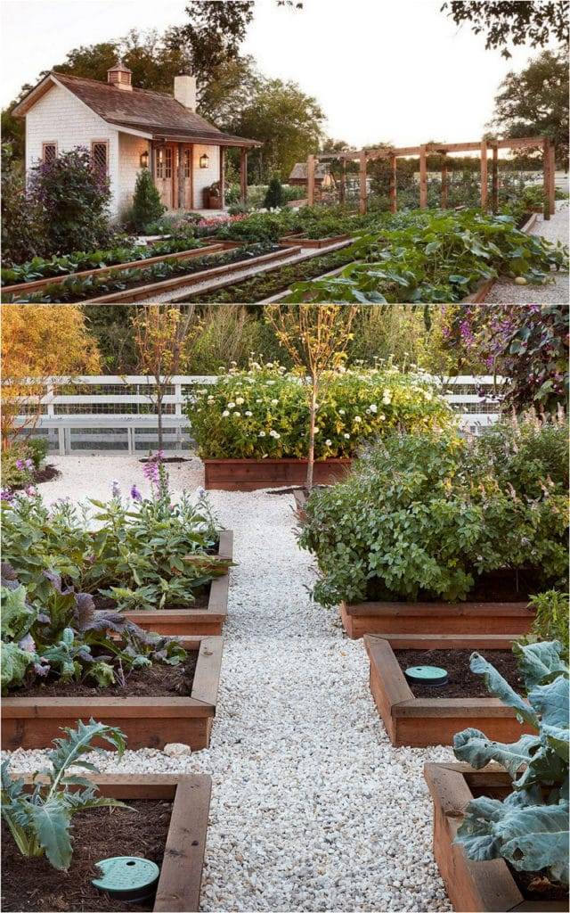 Best Vegetable Garden Layout Ideas