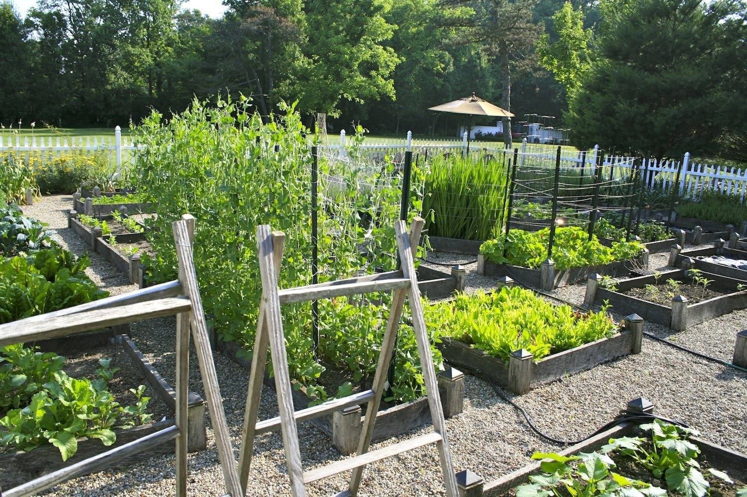 Garden Home Vegetable Garden Design