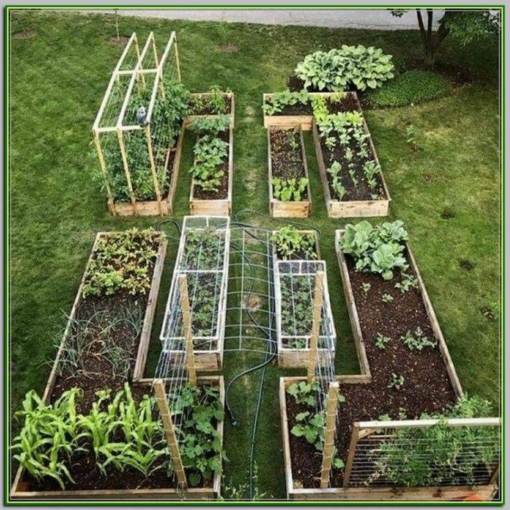 Stunning Vegetable Garden Design Ideas