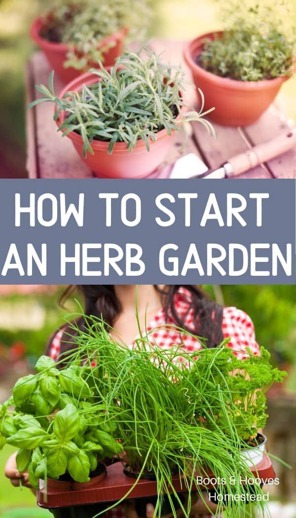 Best Indoor Herb Gardens