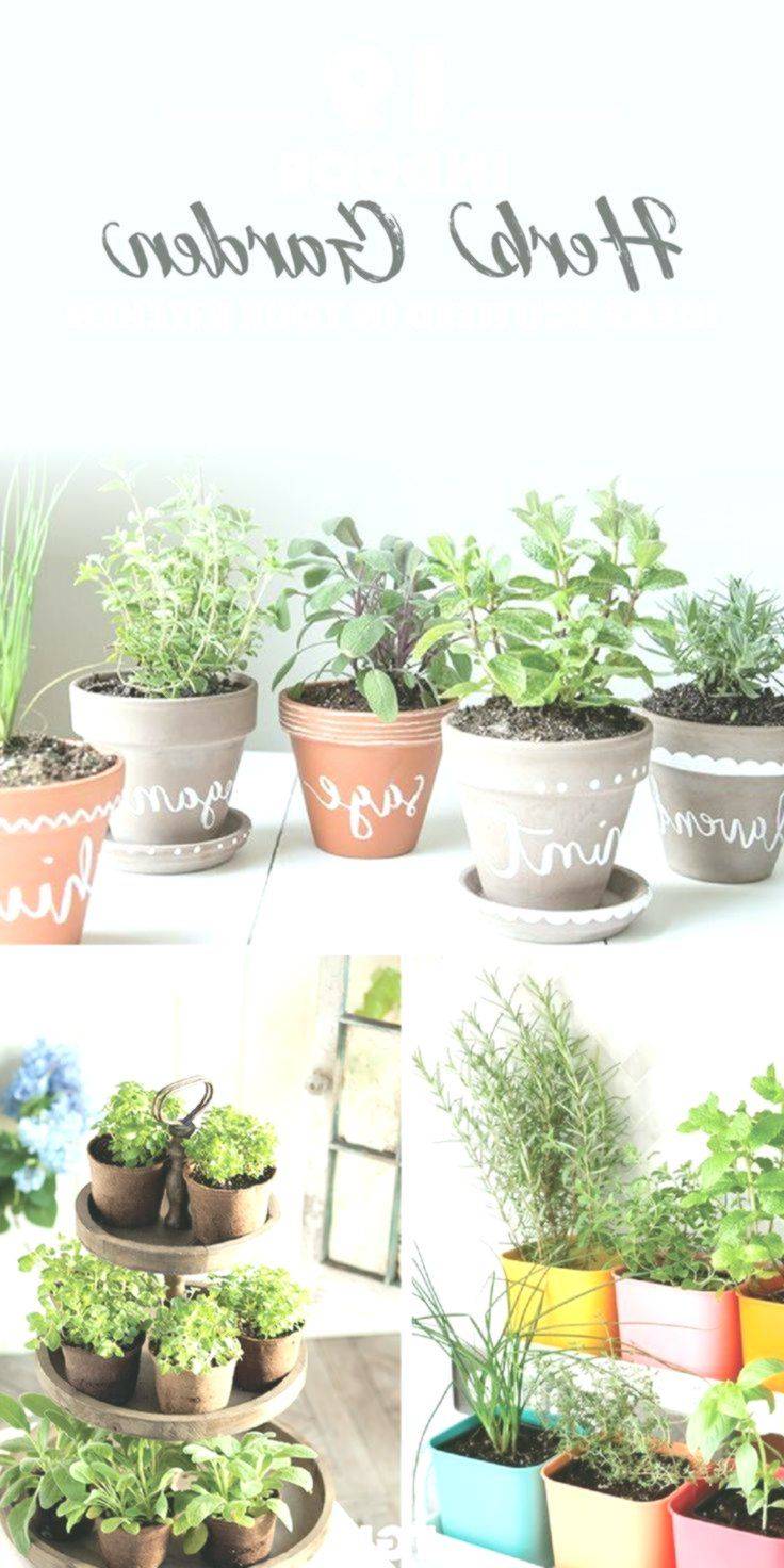 A Basic Herb Garden