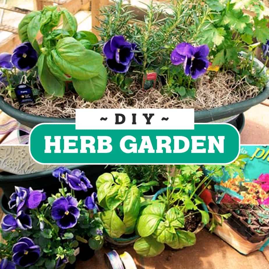 Easy Patio Herb Garden Vegetable Garden For Beginners Diy Herb