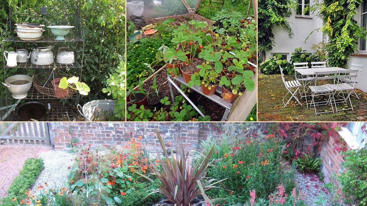 A Successful Indoor Herb Garden