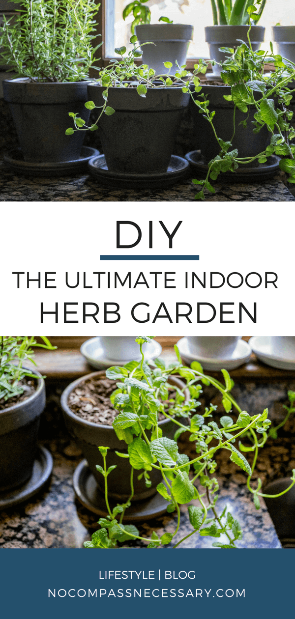 An Herb Garden