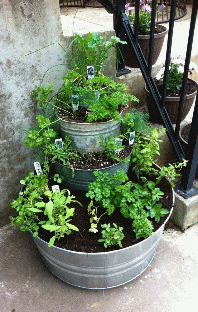 An Herb Garden