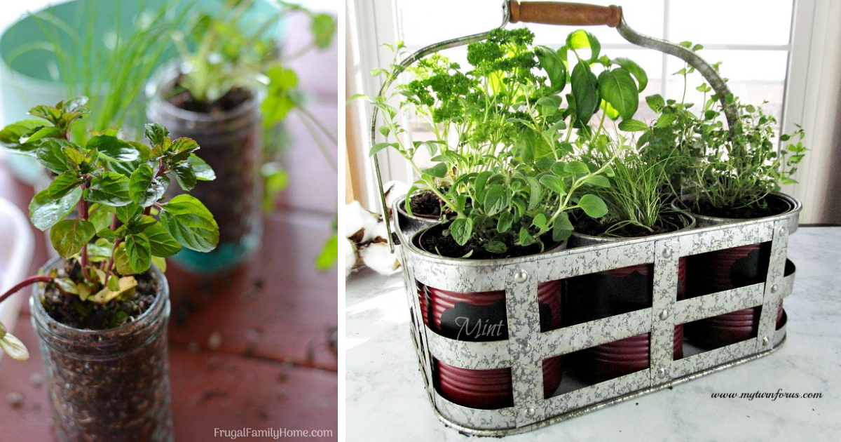 The Best Potted Herb Garden Ideas