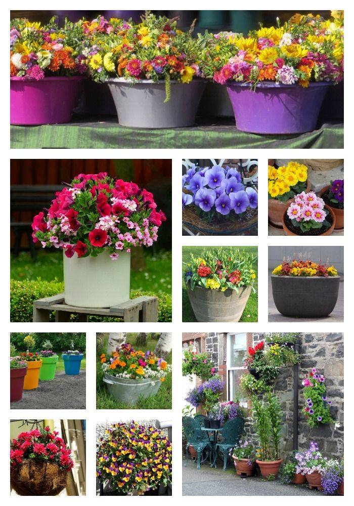 Container Gardens