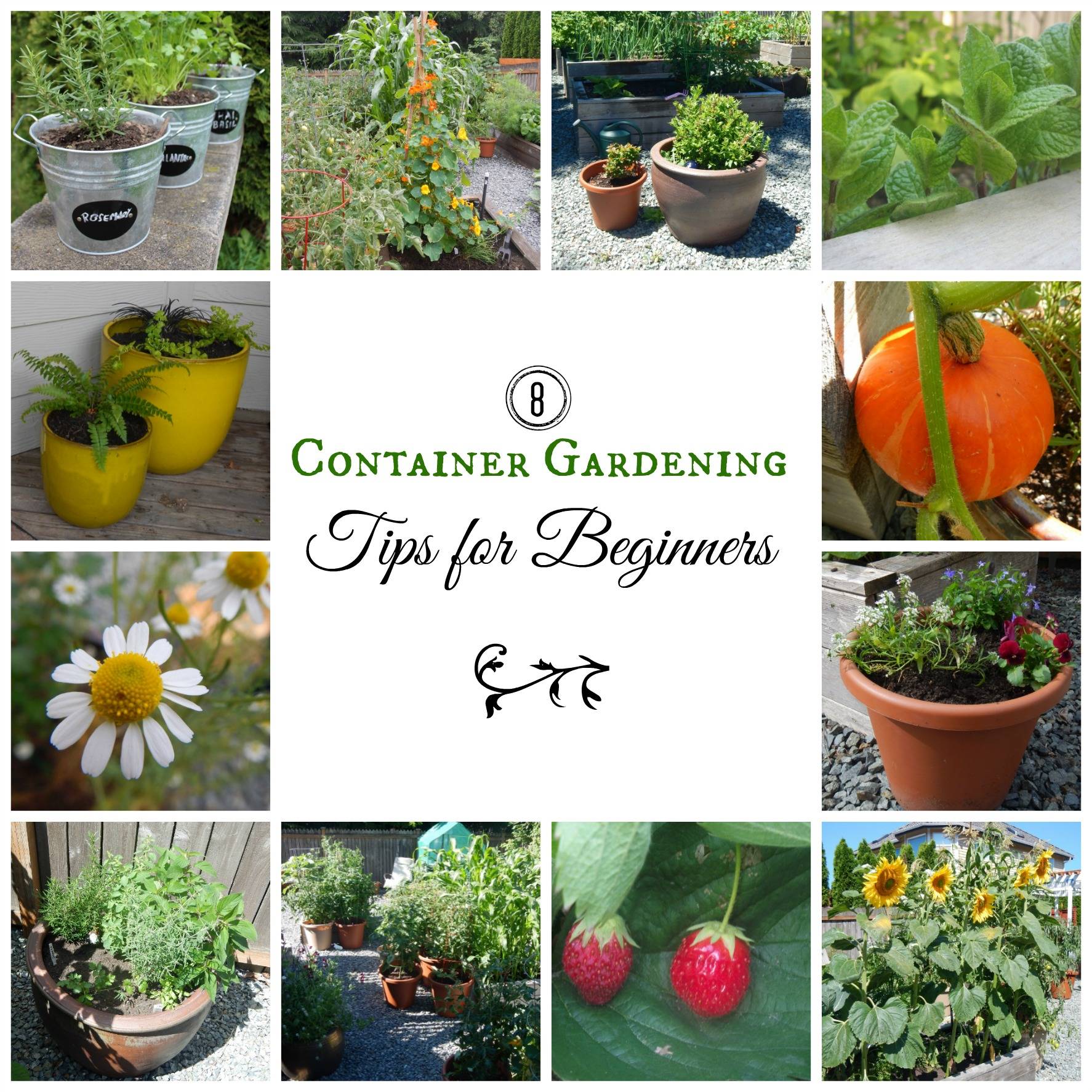 Fantastic Container Gardening