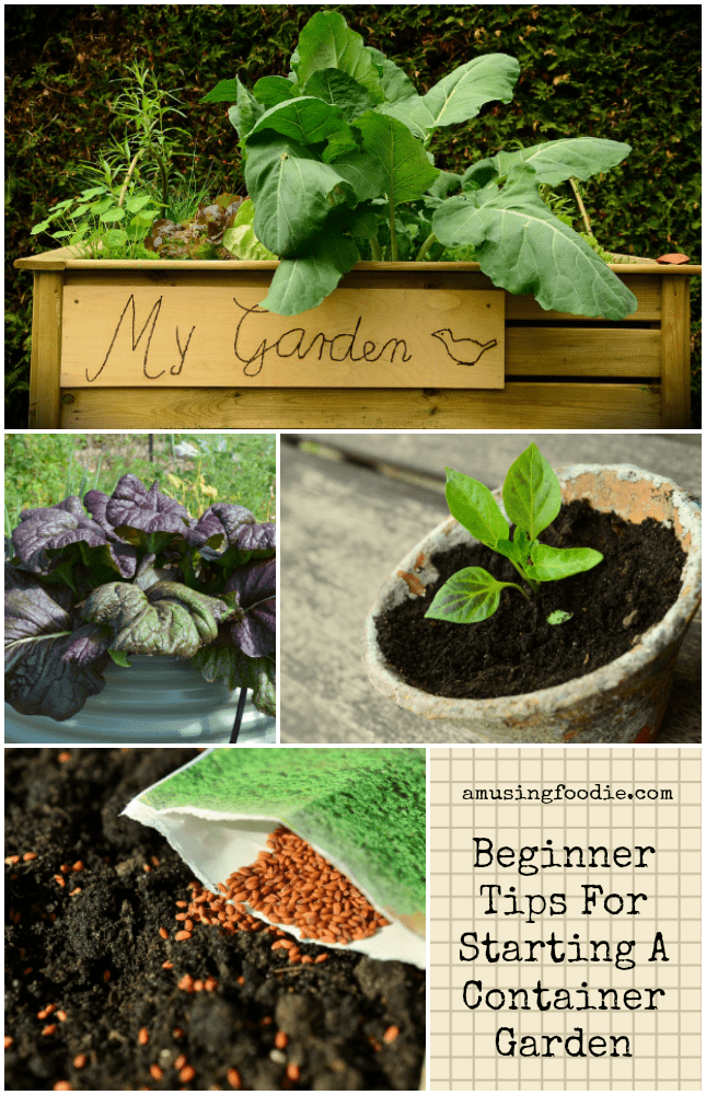 Easy And Fresh Spring Container Garden Flowers Ideas