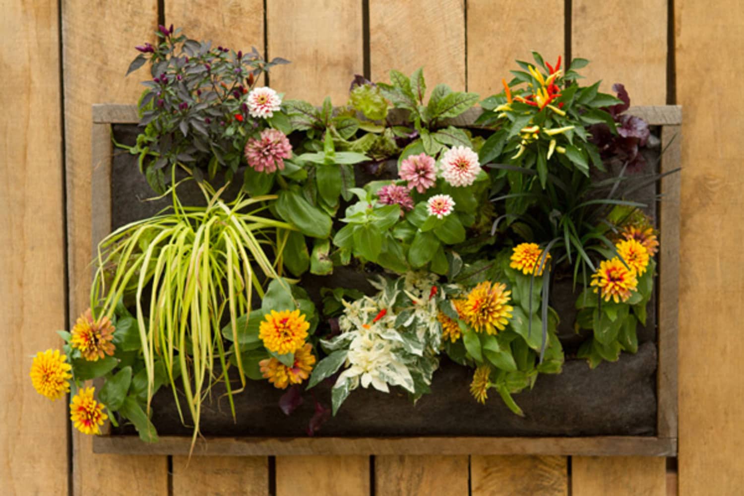 Container Gardening Ideas