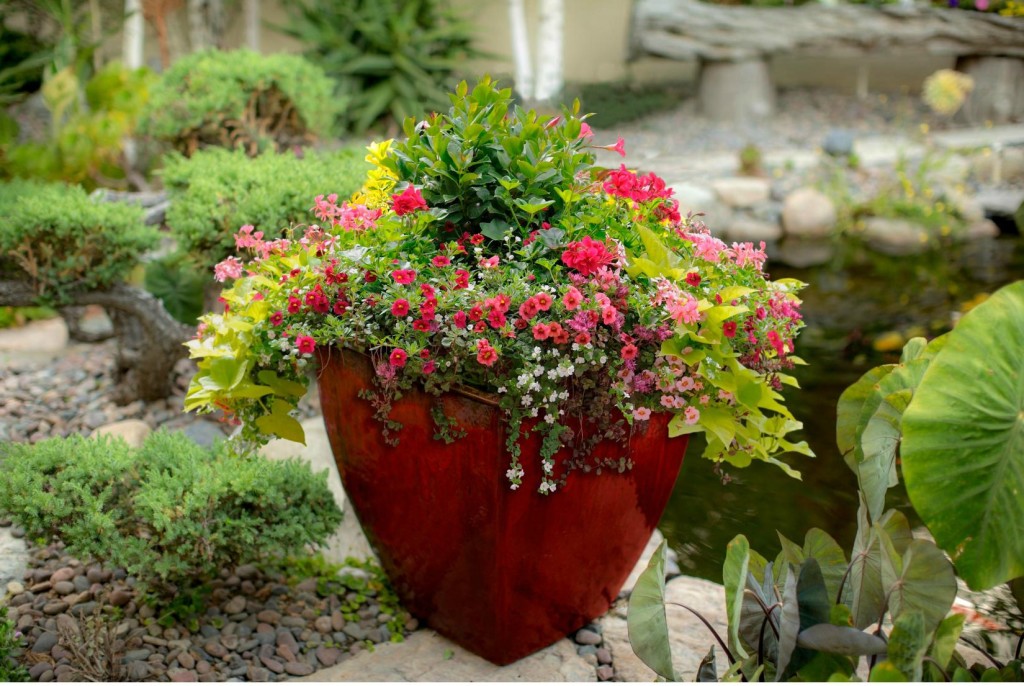 Container Vegetable Gardening