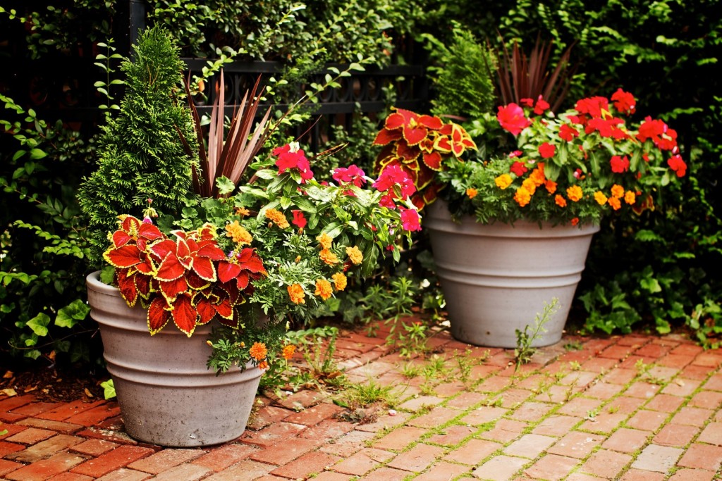 Gardening Ace