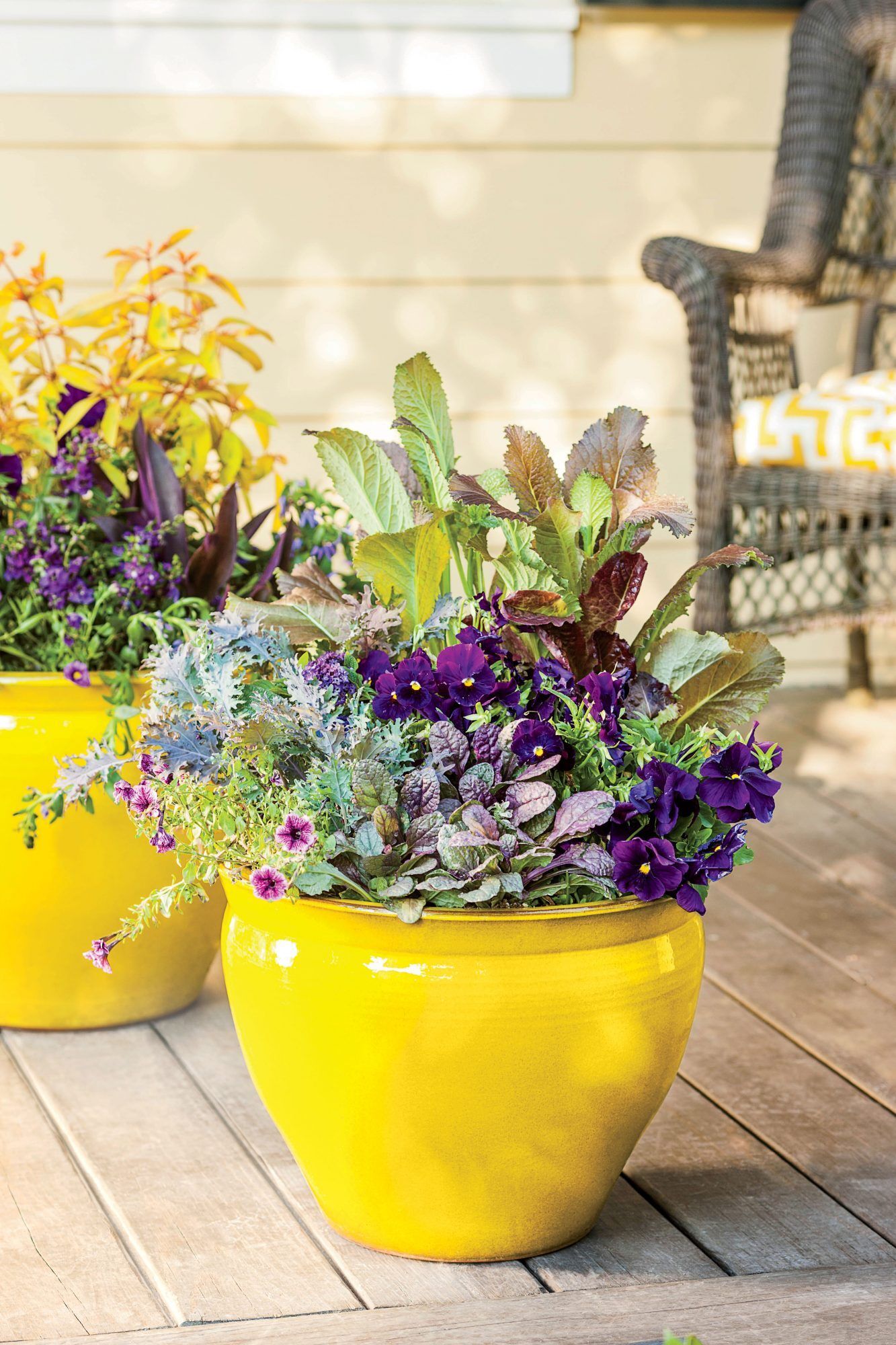 Organic Container Gardening Ideas