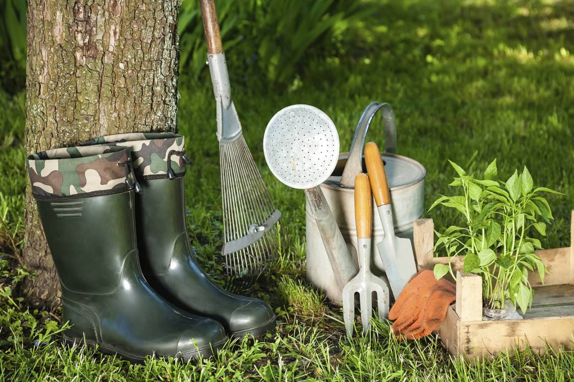 A Garden Tools List