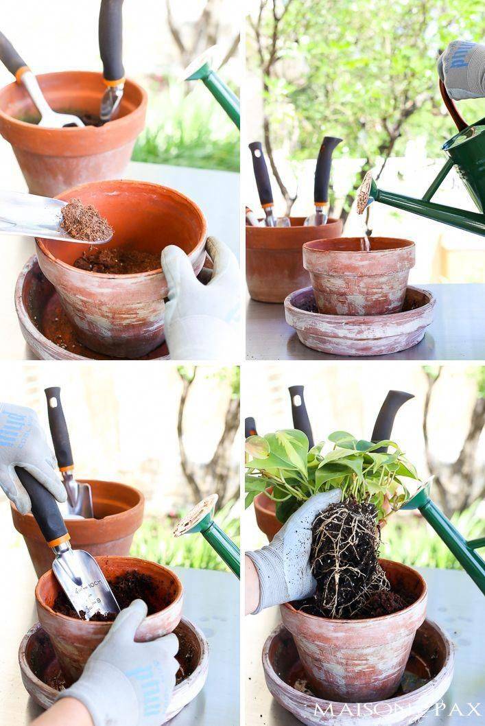 Basic Gardening Tools