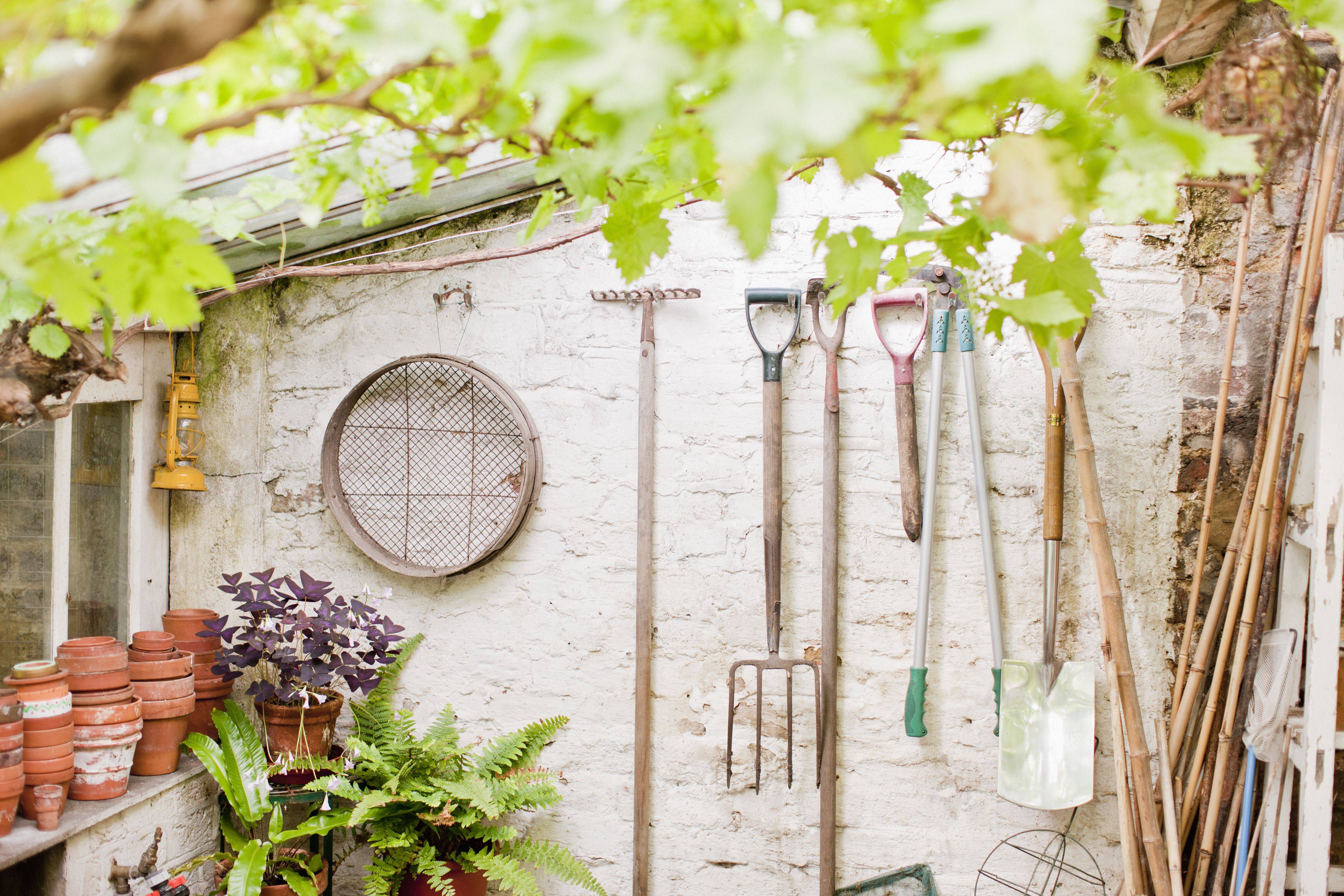Five Best Basic Gardening Tools