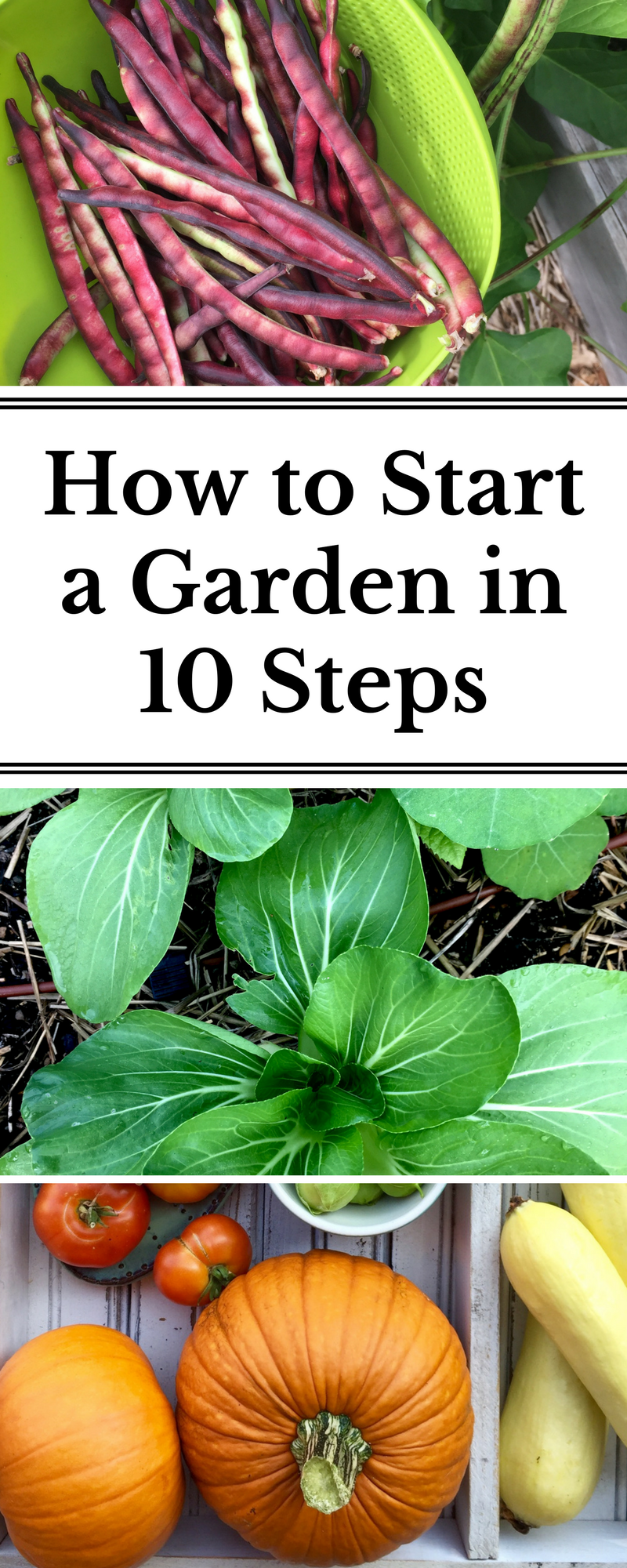 Organic Gardening Tips