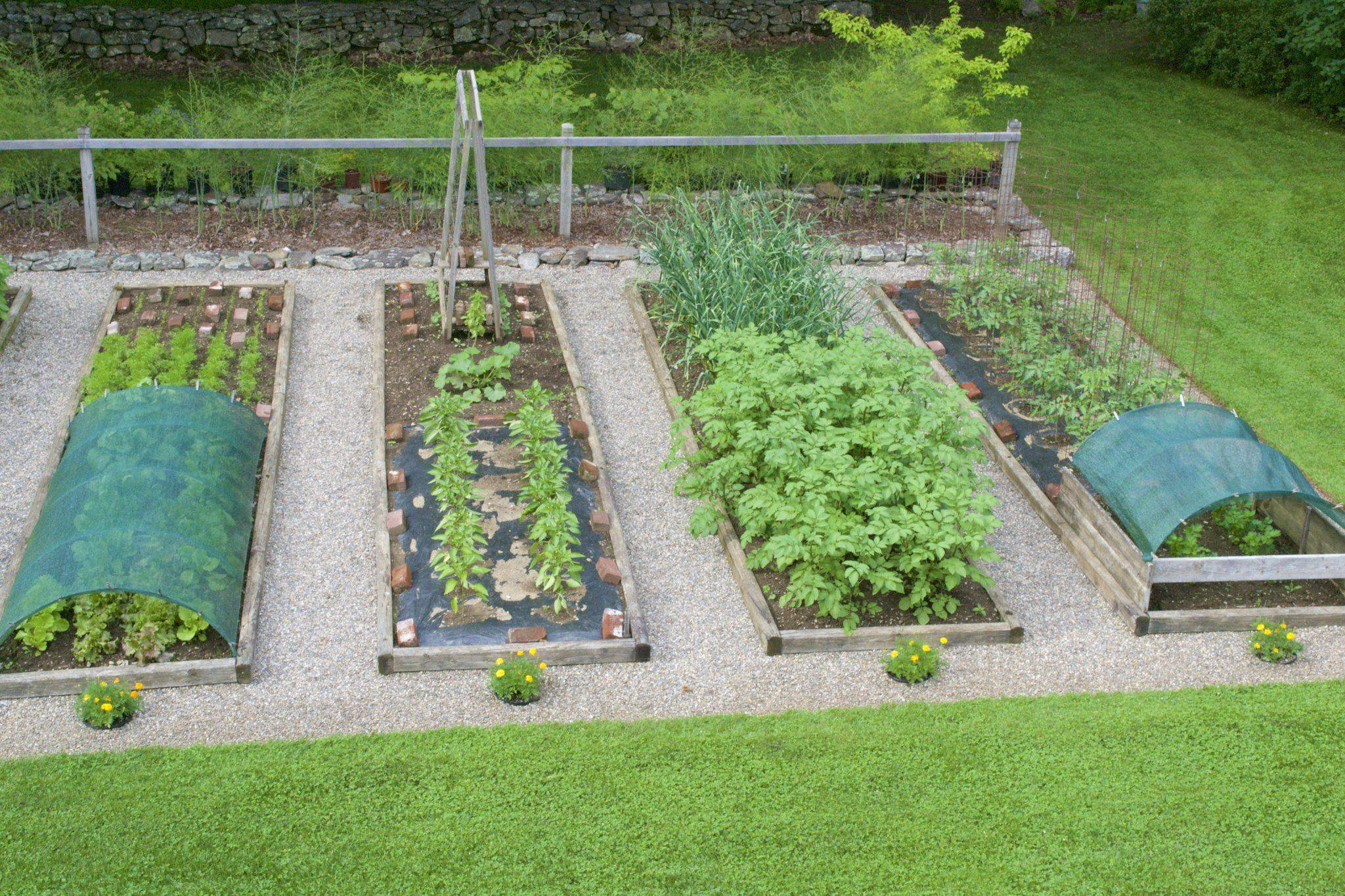 Awesome Diy Raised And Enclosed Garden Bed Ideas