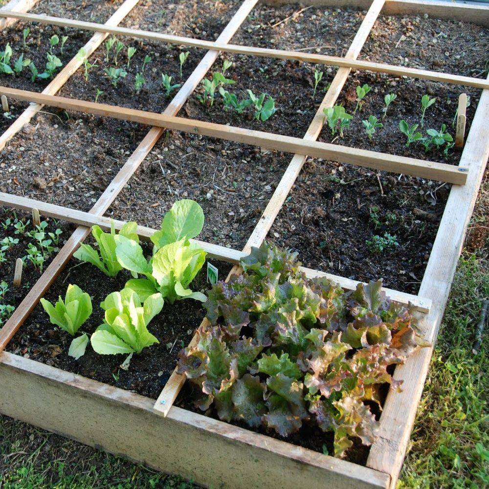 Raised Bed Gardening Vegetable Garden Tips