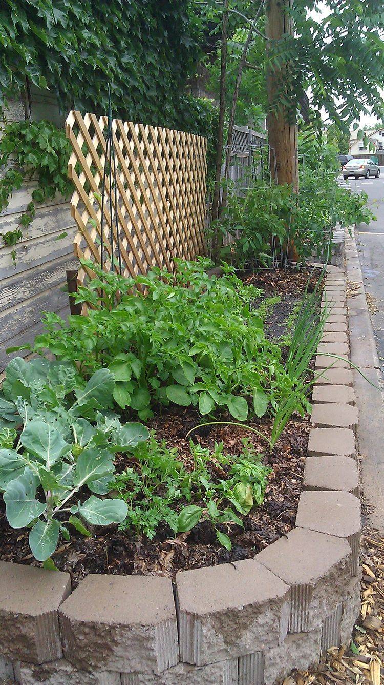 Organic Container Gardening Ideas