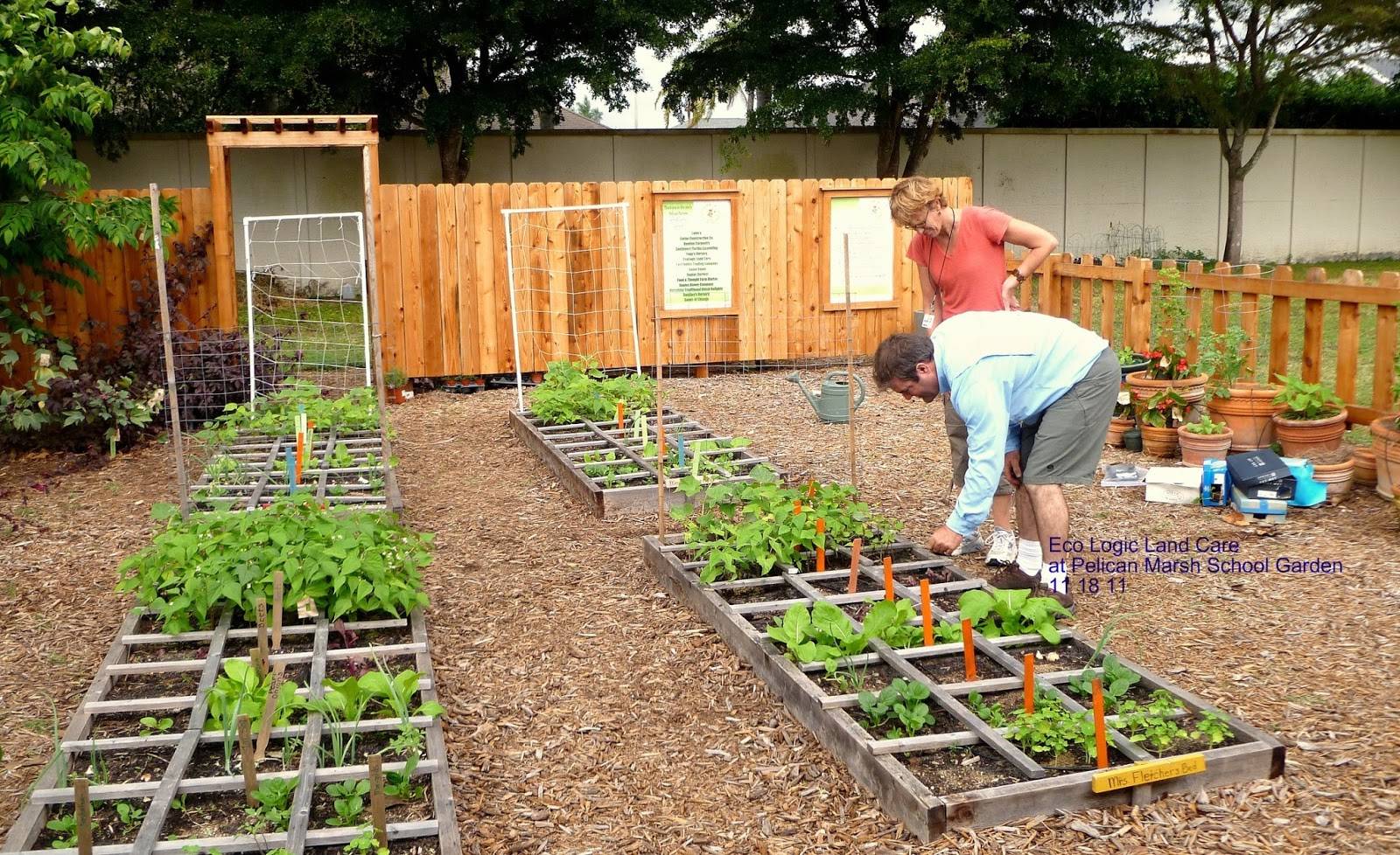 Organic Gardening Ideas Gardening Ideas Make The Most Out Of Organic