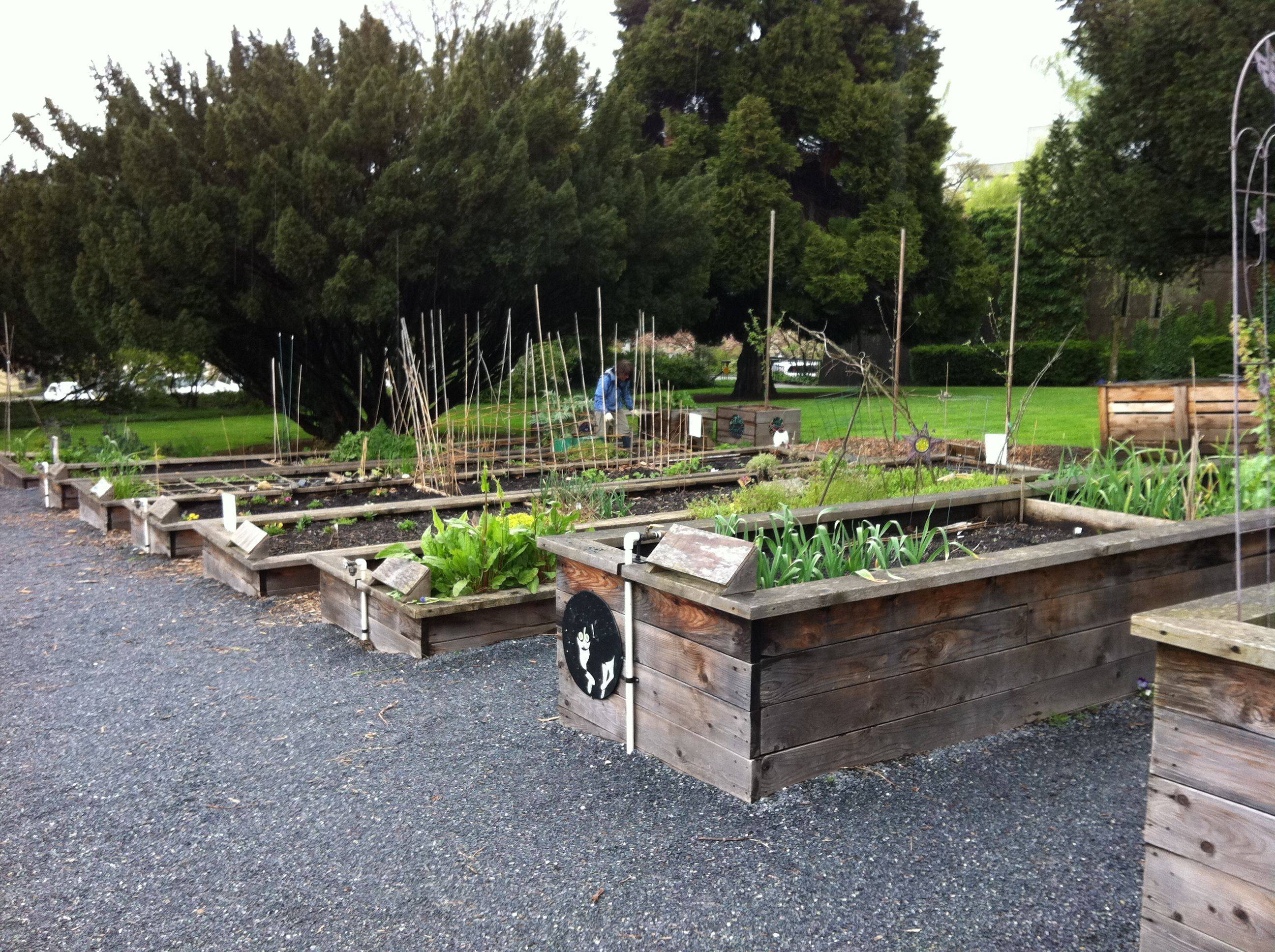 Organic Gardening Ideas Gardening Ideas Make The Most Out Of Organic