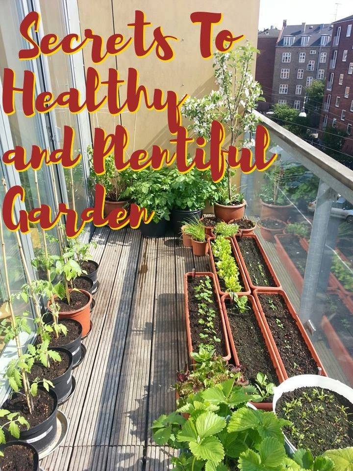 These Great Gardening Ideas