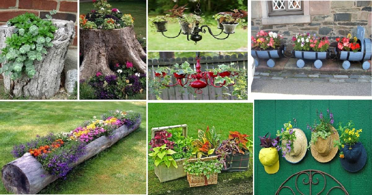 Innovative Gardening Ideas Youve Never Thought About