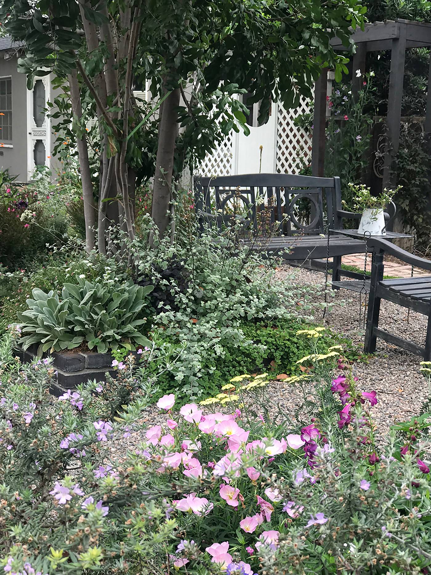 Innovative Gardening Ideas