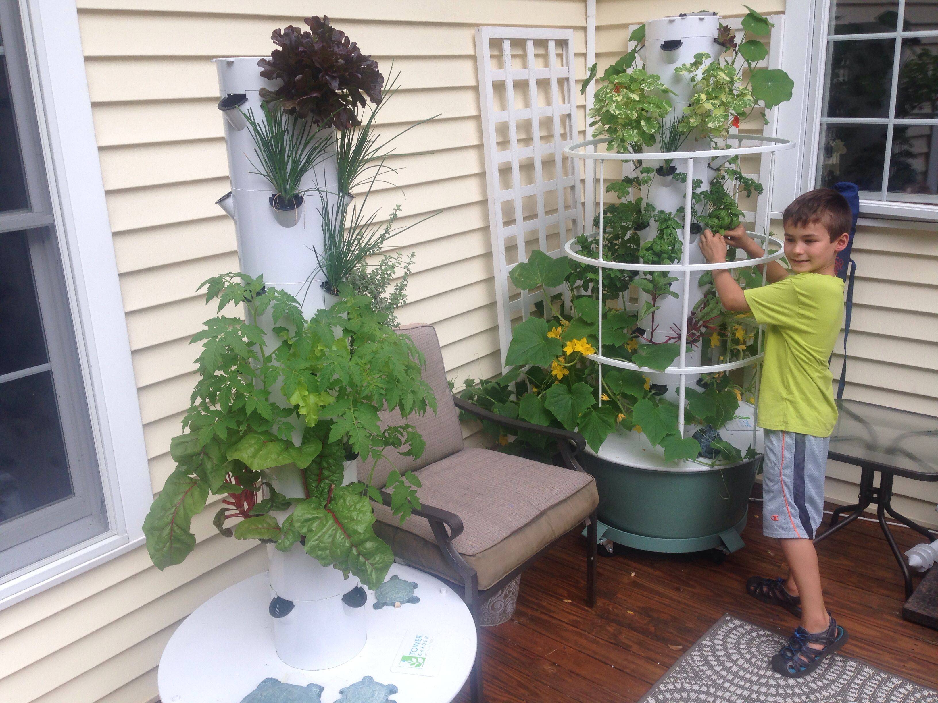Your Own Kitchen Garden