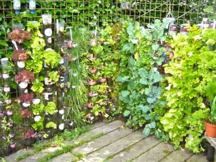 The Tower Garden Tower Garden