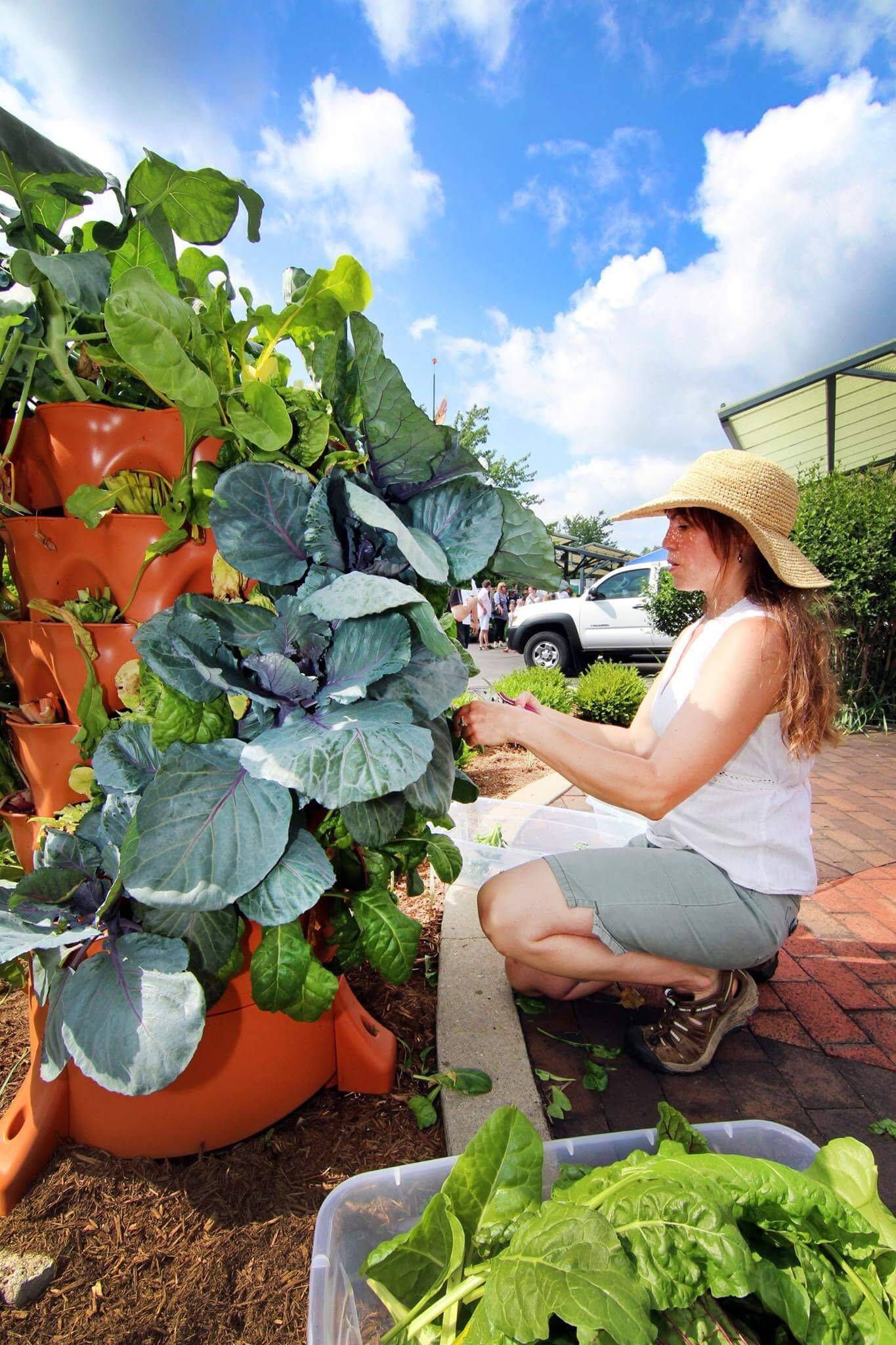 Creative Plastic Bottle Vertical Garden Ideas