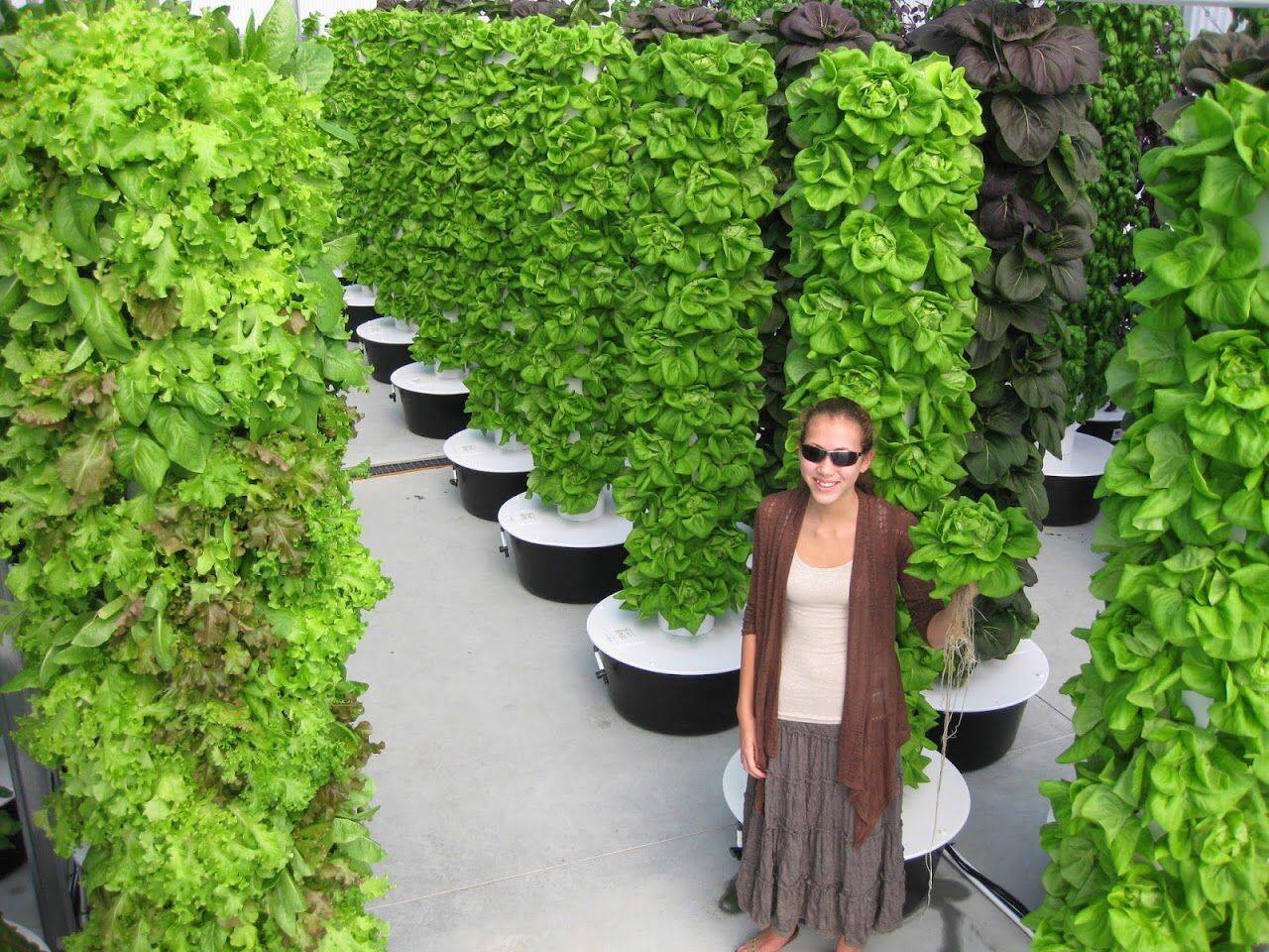 Vertical Vegetable Gardens