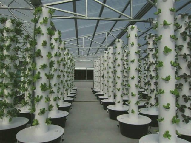 An Arctic Dome Geodesic Greenhouse