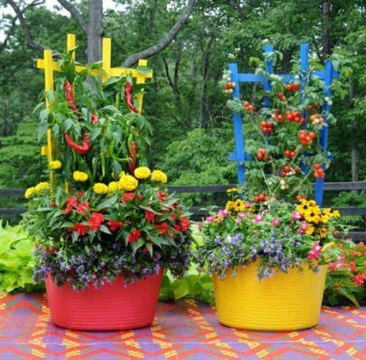 Plant Composting Container Garden