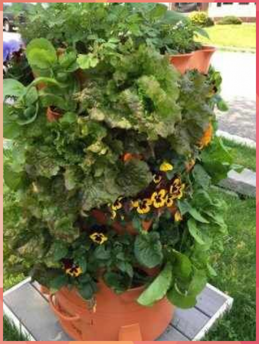 Plant Composting Container Garden